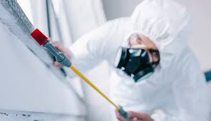 Best Pest Exclusion Services  in St Bernard, OH